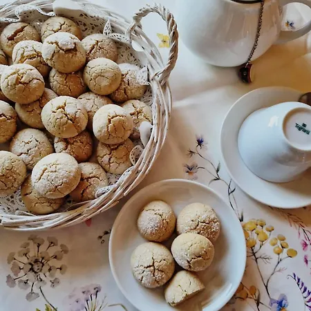 Foresteria Simona コーリコ