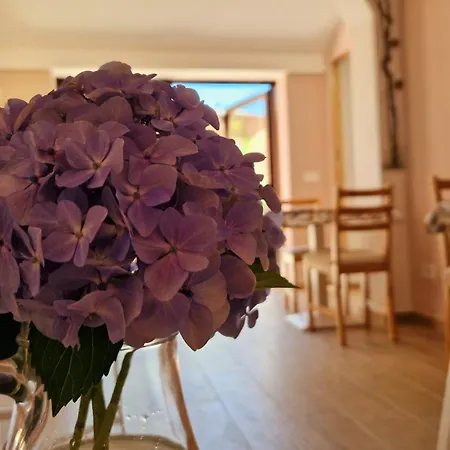 住宿加早餐酒店 Foresteria Simona