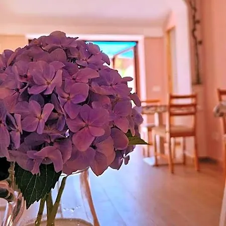 Foresteria Simona Bed & Breakfast