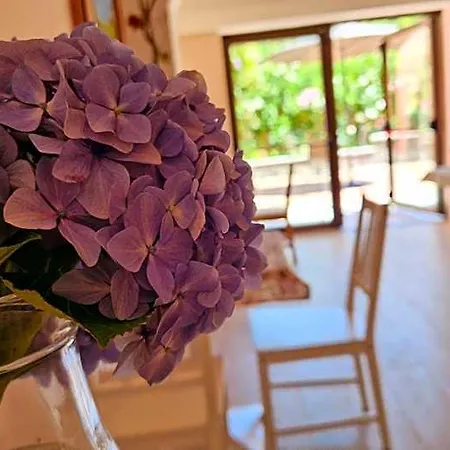 Foresteria Simona Bed & Breakfast
