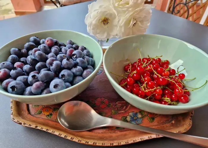 Foresteria Simona 4* Colico