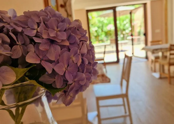 Foresteria Simona 4*