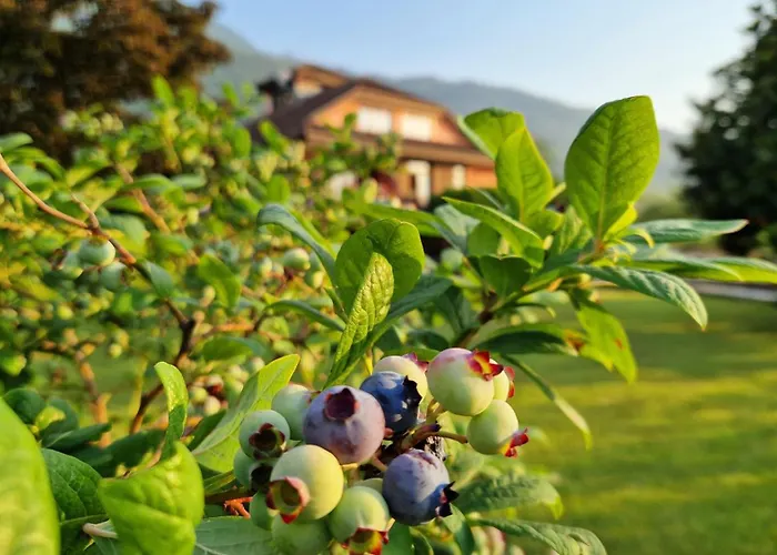 Foresteria Simona Oda ve Kahvaltı 4*