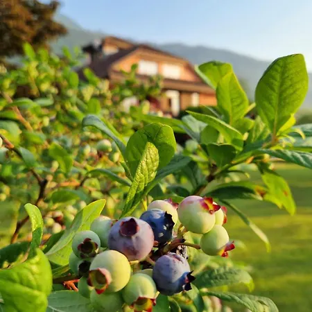 Foresteria Simona Bed & Breakfast 4*