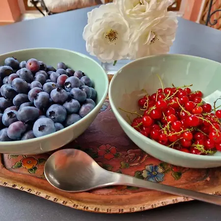 Foresteria Simona 4* Colico