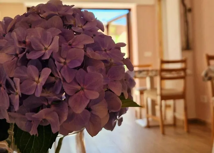 ベッド・アンド・ブレックファスト Foresteria Simona